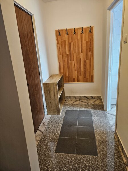 Lacul Tei, Parcul Circului